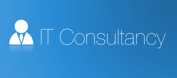 IT Consultancy
